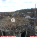 12_15-nest.jpg