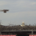 12_25-mast.jpg