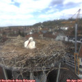 12_25-nest.jpg