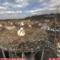 12_30-nest.jpg