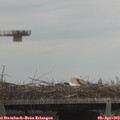 12_35-mast.jpg