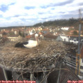 12_55-nest.jpg