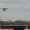 13_25-mast.jpg