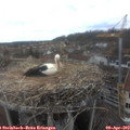 13_35-nest.jpg