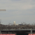 13_40-mast.jpg