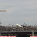 13_45-mast.jpg