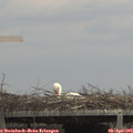 14_25-mast.jpg