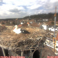 14_55-nest.jpg