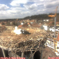 15_05-nest.jpg