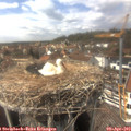 15_10-nest.jpg