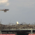15_20-mast.jpg