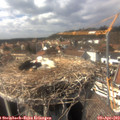 15_25-nest.jpg