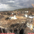 15_35-nest.jpg