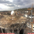 15_40-nest.jpg
