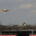 15_45-mast.jpg