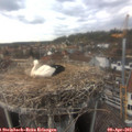 15_45-nest.jpg