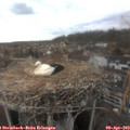 15_55-nest.jpg