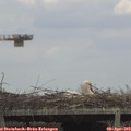 16_05-mast.jpg