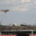 17_00-mast.jpg