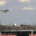 17_05-mast.jpg