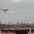 18_40-mast.jpg