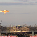 19_15-mast.jpg