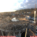 19_25-nest.jpg