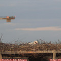 19_40-mast.jpg