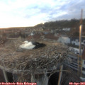 19_40-nest.jpg