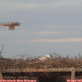 19_45-mast.jpg