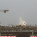 06_45-mast.jpg