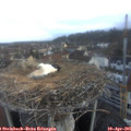 06_45-nest.jpg