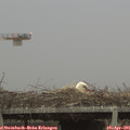 06_55-mast.jpg