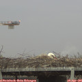 07_00-mast.jpg