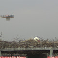 07_05-mast.jpg