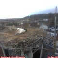 07_05-nest.jpg