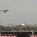 07_10-mast.jpg
