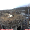 07_10-nest.jpg