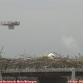07_15-mast.jpg