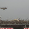 07_20-mast.jpg