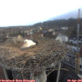 07_20-nest.jpg
