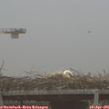 07_25-mast.jpg