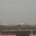 07_35-mast.jpg