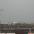 07_40-mast.jpg