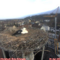 07_40-nest.jpg