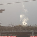 07_45-mast.jpg
