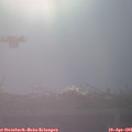 07_50-mast.jpg