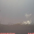 08_00-mast.jpg