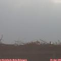 08_15-mast.jpg