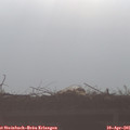 08_20-mast.jpg